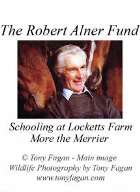 The Robert Alner Fund